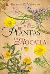 PLANTAS DE ROCALLA