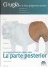LA PARTE POSTERIOR
