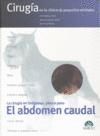 EL ABDOMEN CAUDAL