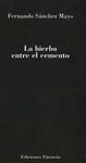 LA HIERBA ENTRE EL CEMENTO