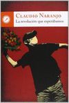 REVOLUCION QUE ESPERABAMOS, LA