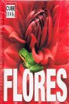 FLORES - CUBE BOOK