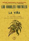 LOS ARBOLES FRUTALES Y LA VIÑA