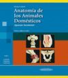 ANATOMÍA DE LOS ANIMALES DOMÉSTICOS T1