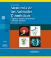 ANATOMÍA DE LOS ANIMALES DOMÉSTICOS T2