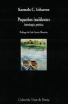 PEQUEÑOS INCIDENTES. ANTOLOGÍA POÉTICA