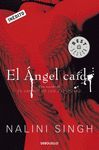 EL ANGEL CAIDO