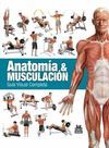 ANATOMÍA & MUSCULACIÓN. GUÍA VISUAL COMPLETA (COLOR)