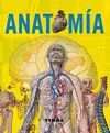 ANATOMIA