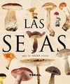 LAS SETAS