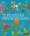 PLANTAS MEDICINALES