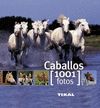 CABALLOS