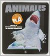 ANIMALES- REALIDAD AUMENTADA