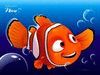 SONRISAS BUSCANDO A NEMO, COLECCION