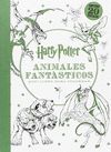 HARRY POTTER-ANIMALES FANTÁSTICOS MINI LIBRO PARA COLOREAR