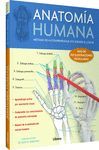 ANATOMIA HUMANA