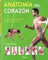 ANATOMIA DEL CORAZON