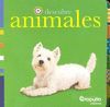 DESCUBRE ANIMALES