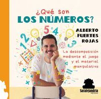 ¿QUÉ SON LOS NÚMEROS?