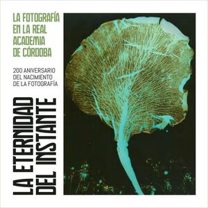 LA ETERNIDAD DEL INSTANTE